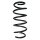 Suspension spring set front coil spring 316mm SPIDAN for FORD B MAX JK