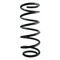 Fahrwerksfeder-Set hinten Schraubenfeder 312mm SPIDAN...