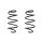 Fahrwerksfeder-Set vorne Schraubenfeder 286mm SPIDAN für AUDI TT (8J3)
