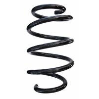 Fahrwerksfeder-Set vorne Schraubenfeder 255mm SPIDAN...