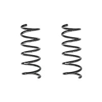 Fahrwerksfeder-Set hinten Schraubenfeder 318mm SPIDAN...