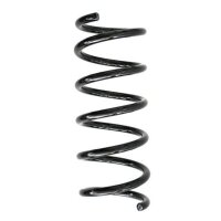 Fahrwerksfeder-Set hinten Schraubenfeder 318mm SPIDAN...