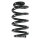 Fahrwerksfeder-Set hinten Schraubenfeder 262mm SPIDAN für AUDI A6 C6