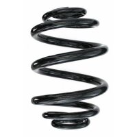 Fahrwerksfeder-Set hinten Schraubenfeder 226mm SPIDAN...