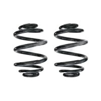 Fahrwerksfedern-Set hinten Schraubenfeder 226mm SPIDAN...