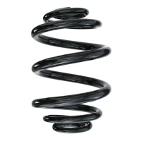 Fahrwerksfedern-Set hinten Schraubenfeder 226mm SPIDAN...