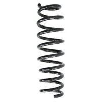 Fahrwerksfeder-Set hinten Schraubenfeder 348mm SPIDAN...