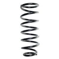 Fahrwerksfedern-Set vorne Schraubenfeder 420mm SPIDAN...
