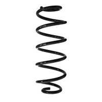 Fahrwerksfeder-Set hinten Schraubenfeder 294mm SPIDAN...