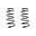 Suspension spring set front coil spring 317mm SPIDAN for OPEL ZAFIRA