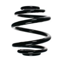 Fahrwerksfeder-Set hinten Schraubenfeder 175mm SPIDAN...