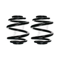Suspension spring set rear coil spring 175mm SPIDAN for...