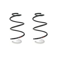 Suspension spring set front coil spring 324mm SPIDAN for...