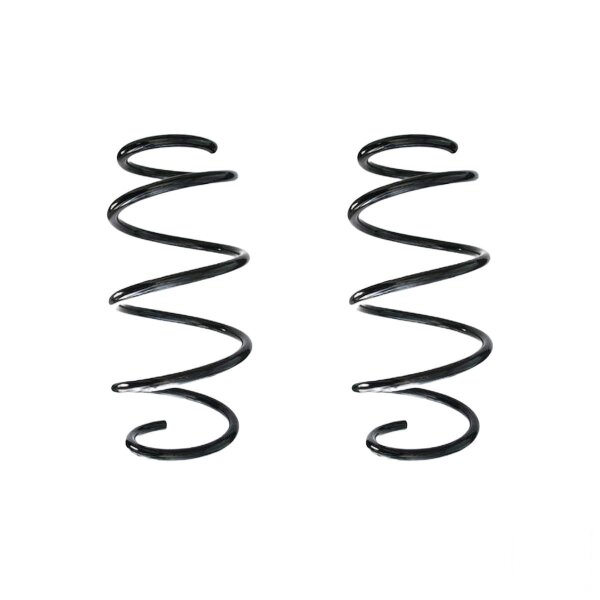 Suspension spring set front coil spring 318mm SPIDAN for SKODA SUPERB III
