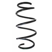 Fahrwerksfeder-Set vorne Schraubenfeder 318mm SPIDAN...