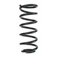 Fahrwerksfeder-Set hinten Schraubenfeder 260mm SPIDAN...