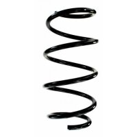 Fahrwerksfeder-Set vorne Schraubenfeder 293mm SPIDAN...