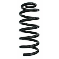 Fahrwerksfeder-Set hinten Schraubenfeder 316mm SPIDAN...