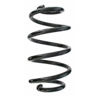 Fahrwerksfeder-Set hinten Schraubenfeder 273mm SPIDAN...