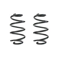 Fahrwerksfedern-Set hinten Schraubenfeder 273mm SPIDAN...