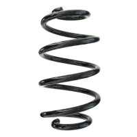 Fahrwerksfedern-Set hinten Schraubenfeder 273mm SPIDAN...
