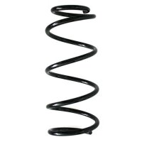 Fahrwerksfeder-Set hinten Schraubenfeder 304mm SPIDAN...