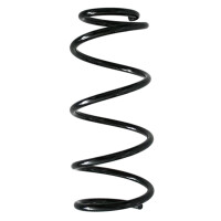 Suspension spring set rear coil spring 304mm SPIDAN for...