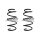 Fahrwerksfeder-Set vorne Schraubenfeder 298mm SPIDAN für VW TIGUAN (AD1)