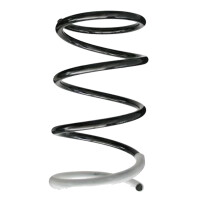 Suspension spring set front coil spring 323mm SPIDAN for...
