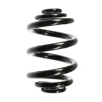 Fahrwerksfeder-Set hinten Schraubenfeder 240mm SPIDAN...