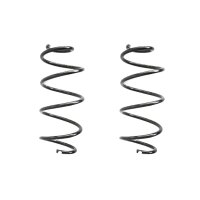 Suspension spring set front coil spring 325mm SPIDAN for...