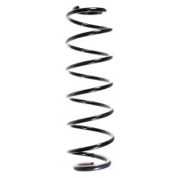 Fahrwerksfeder-Set hinten Schraubenfeder 430mm SPIDAN...