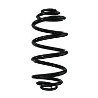 Fahrwerksfeder-Set hinten Schraubenfeder 313mm SPIDAN...