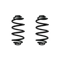 Suspension spring set rear coil spring 313mm SPIDAN for...