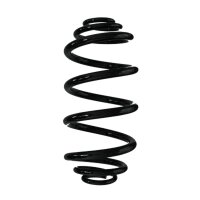 Suspension spring set rear coil spring 313mm SPIDAN for...