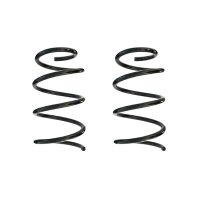 Fahrwerksfeder-Set hinten Schraubenfeder 274mm SPIDAN...