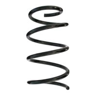 Fahrwerksfedern-Set hinten Schraubenfeder 274mm SPIDAN...