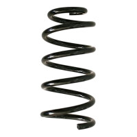 Fahrwerksfedern-Set hinten Schraubenfeder 258mm SPIDAN...