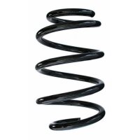 Fahrwerksfeder-Set vorne Schraubenfeder 249mm SPIDAN...