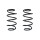 Suspension spring set front coil spring 341mm SPIDAN for FORD S MAX CJ
