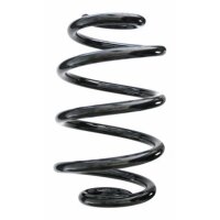 Fahrwerksfeder-Set hinten Schraubenfeder 242mm SPIDAN...