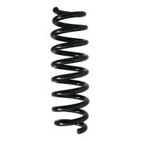 Fahrwerksfeder-Set hinten Schraubenfeder 321mm SPIDAN...