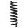 Fahrwerksfeder-Set hinten Schraubenfeder 321mm SPIDAN für BMW 3 (E90)
