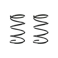 Suspension spring set front coil spring 300mm SPIDAN for...