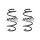 Fahrwerksfeder-Set vorne Schraubenfeder 309mm SPIDAN für VW TIGUAN (AD1)