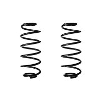 Suspension spring set rear coil spring 305mm SPIDAN for...
