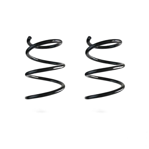 Suspension spring set front coil spring 251mm SPIDAN for DACIA SANDERO II