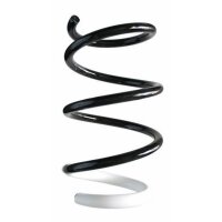 Fahrwerksfeder-Set vorne Schraubenfeder 251mm SPIDAN...