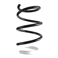 Suspension spring set front coil spring 251mm SPIDAN for...