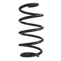 Fahrwerksfeder-Set vorne Schraubenfeder 305mm SPIDAN...